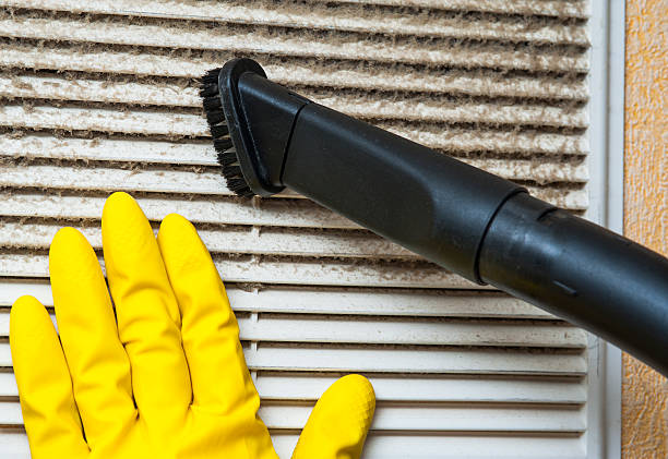 Best Local Air Duct Cleaning Services  in East Brady, PA